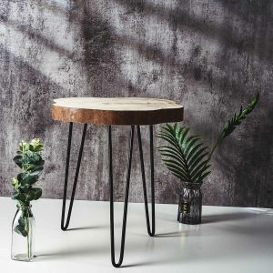 Natural Wood Sliced Round End Table