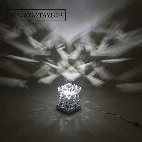 Young & Taylor Crystal Table Light 2