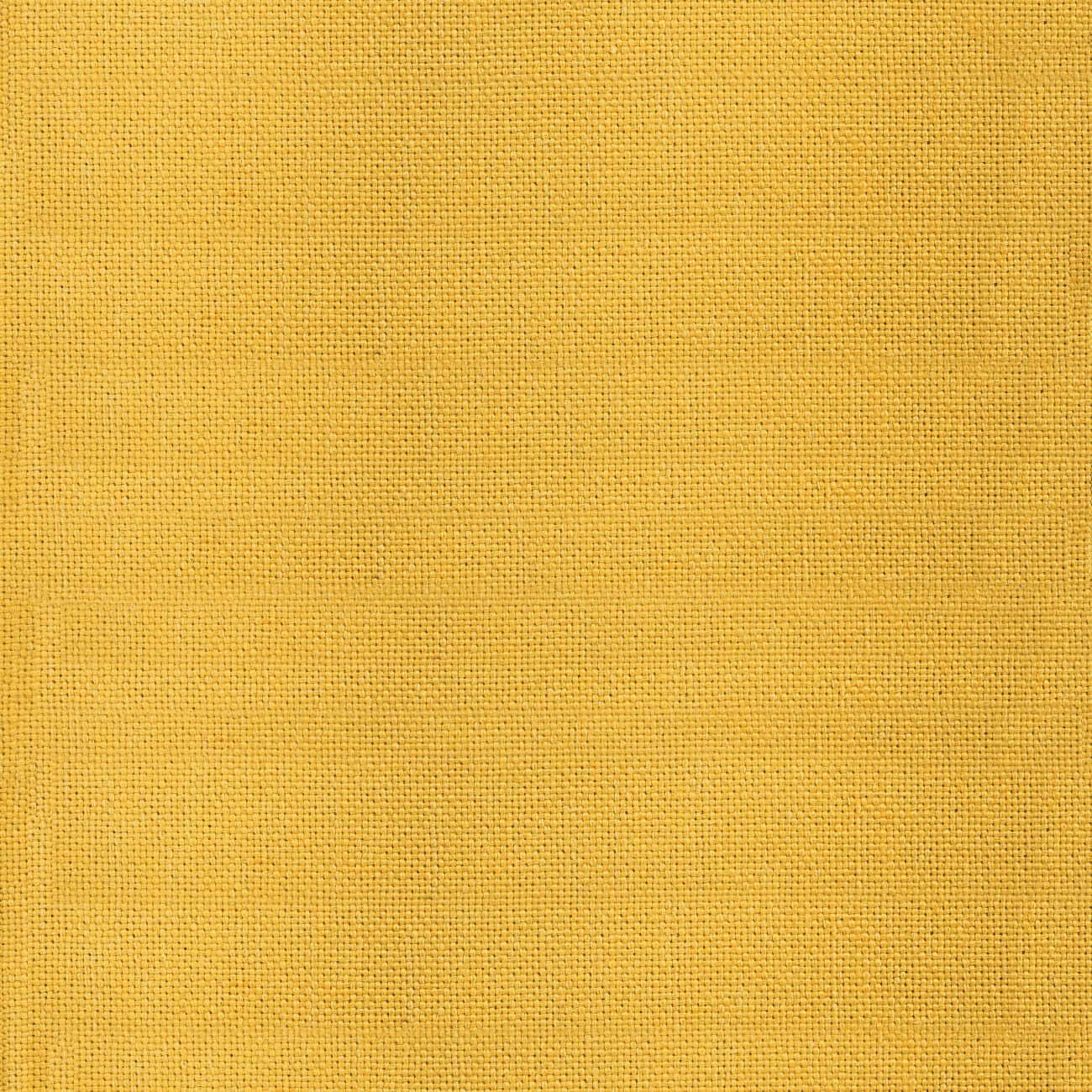 Citrine Upholstered Sofa Arm Chair 6
